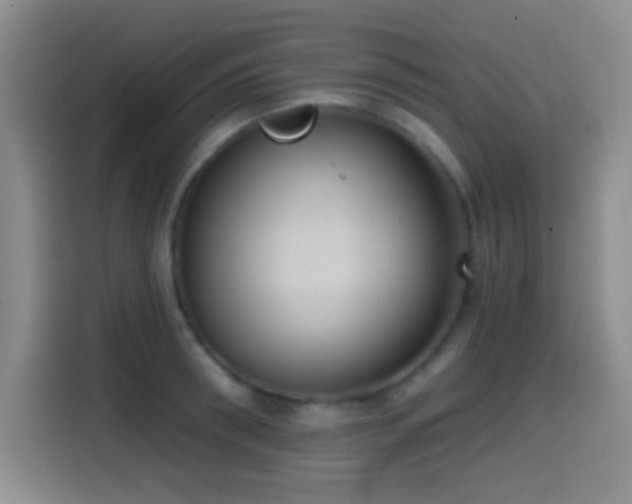 X0000114580898200910191521