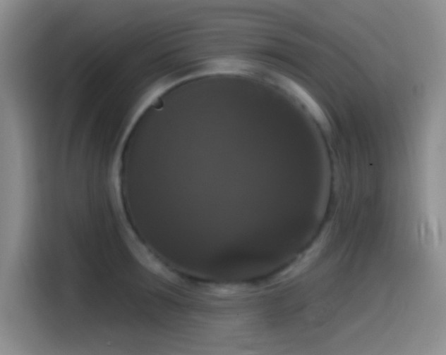 X0000114580899200910191521