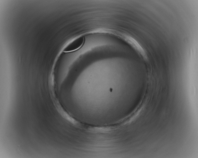 X0000114580900200910191521