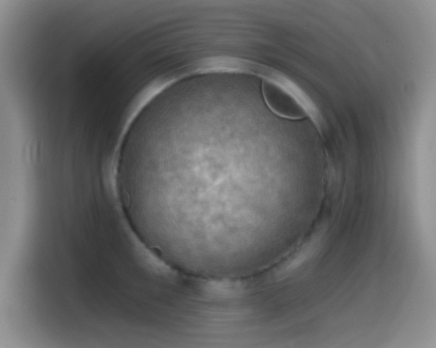 X0000114580901200910191521