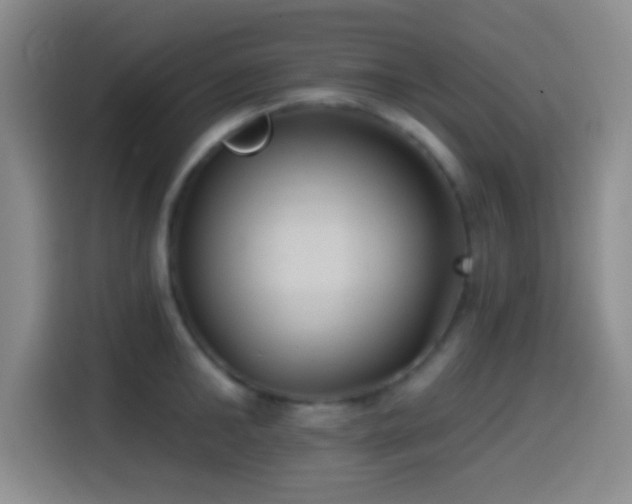 X0000114580902200910191521