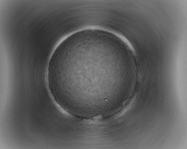 X0000114580903200910191521