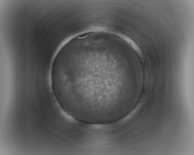 X0000114580904200910191521