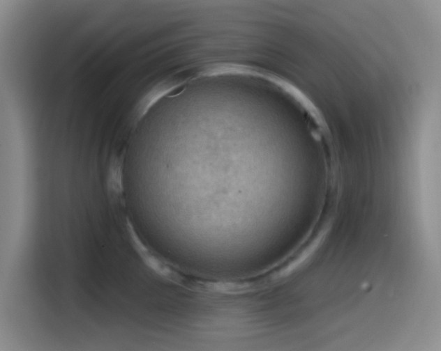 X0000114580905200910191521