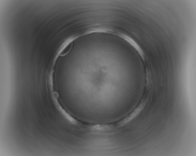 X0000114580906200910191521