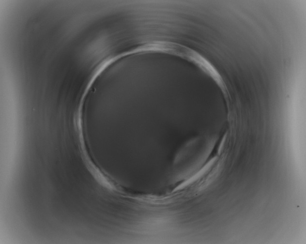 X0000114580907200910191521