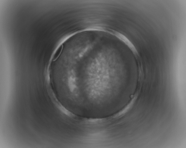 X0000114580908200910191521