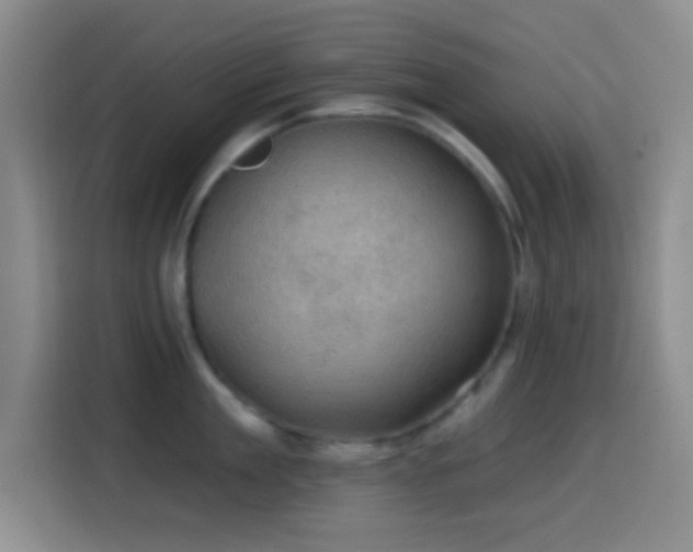 X0000114580909200910191521