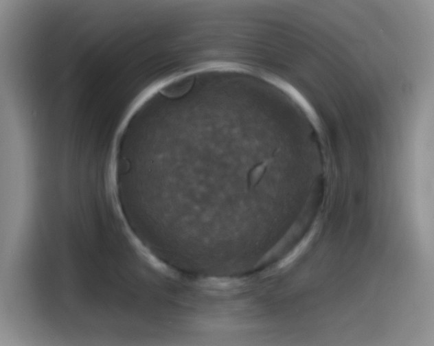 X0000114580910200910191521