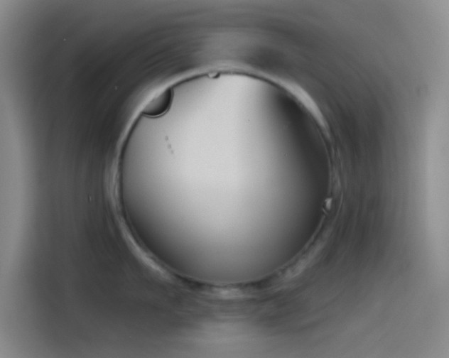 X0000114580911200910191521