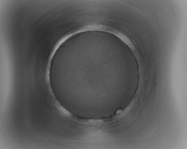 X0000114580912200910191521