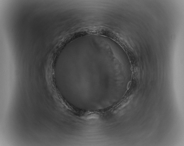 X0000114580913200910191520