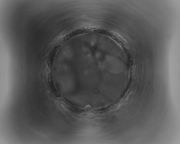 X0000114580917200910191520