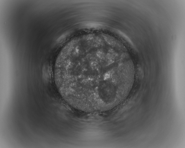 X0000114580918200910191520