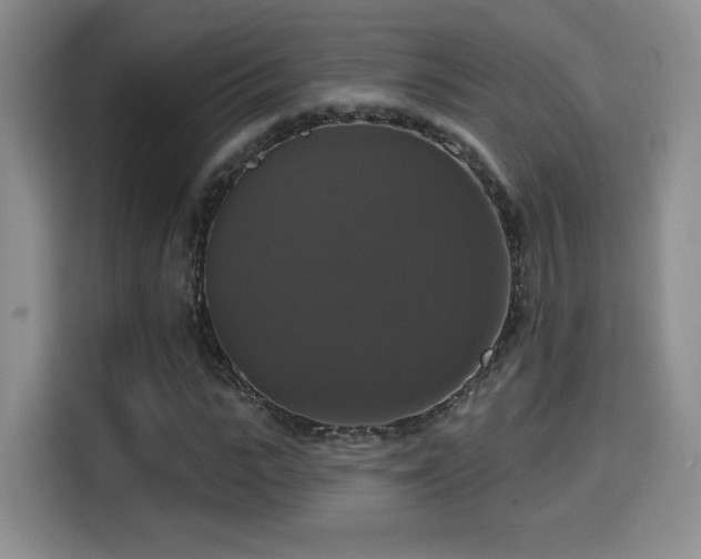 X0000114580919200910191520