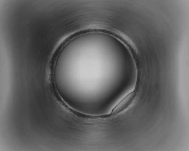 X0000114580926200910191520