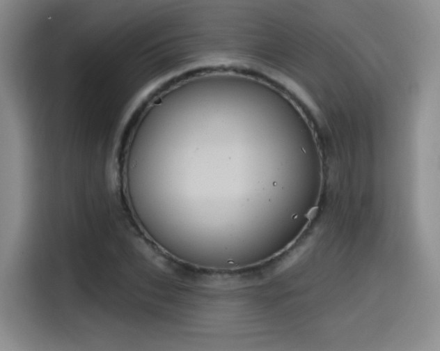 X0000114580927200910191520