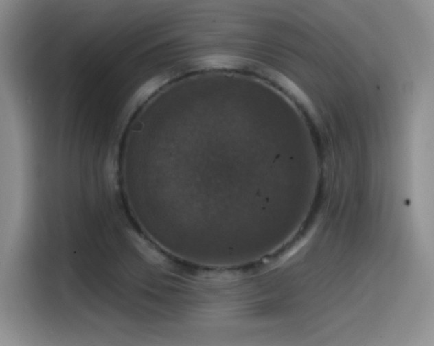 X0000114580930200910191520