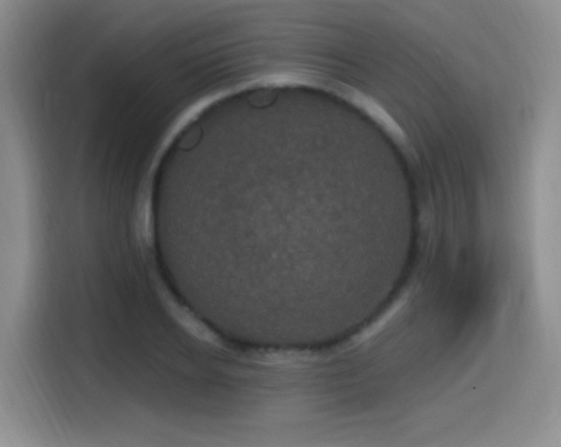 X0000114580934200910191520