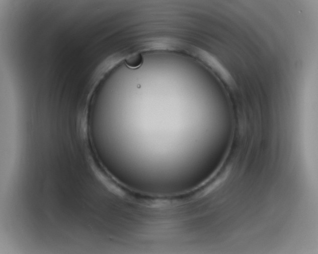 X0000114580938200910191520