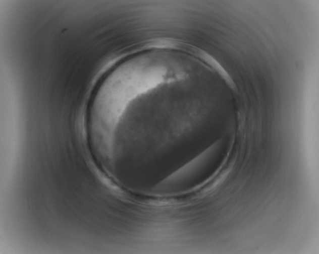 X0000114580939200910191520