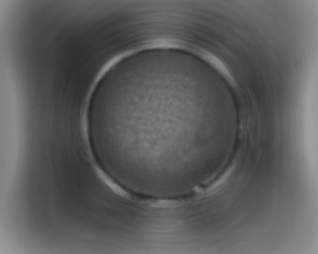 X0000114580942200910191520