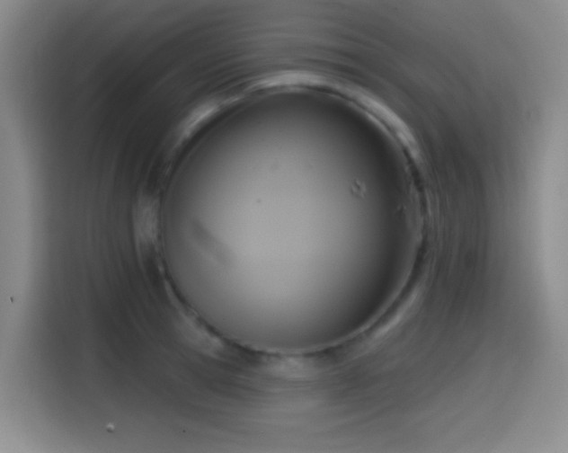 X0000114580945200910191520