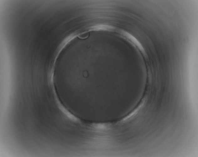 X0000114580946200910191520