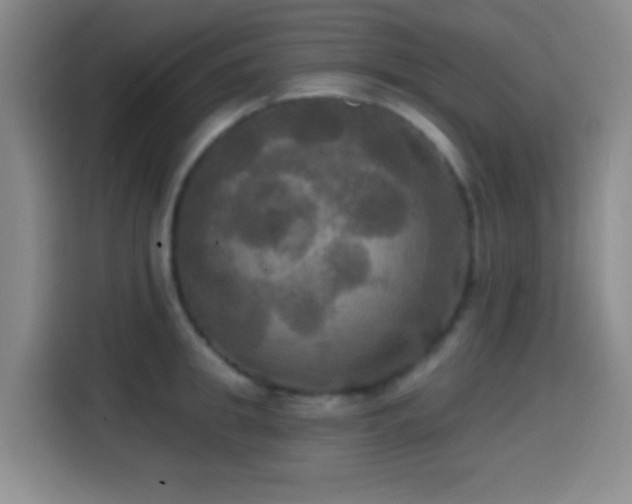 X0000114580949200910191520