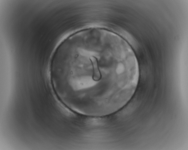 X0000114580950200910191520