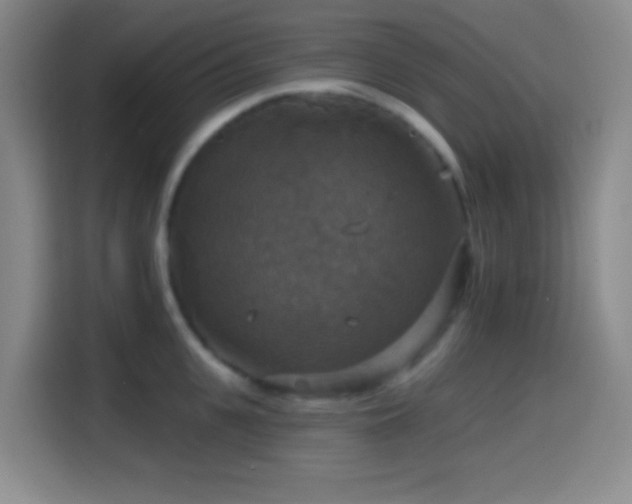 X0000114580951200910191520