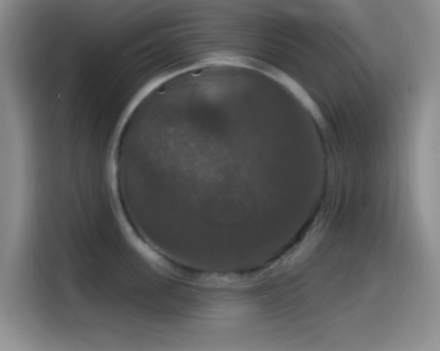 X0000114580955200910191520