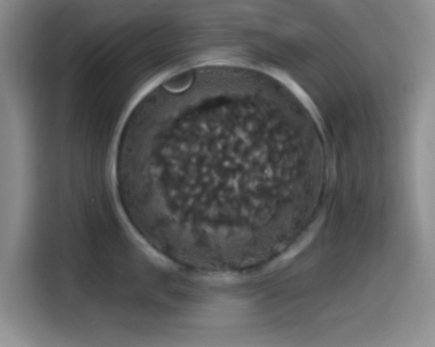 X0000114580957200910191520