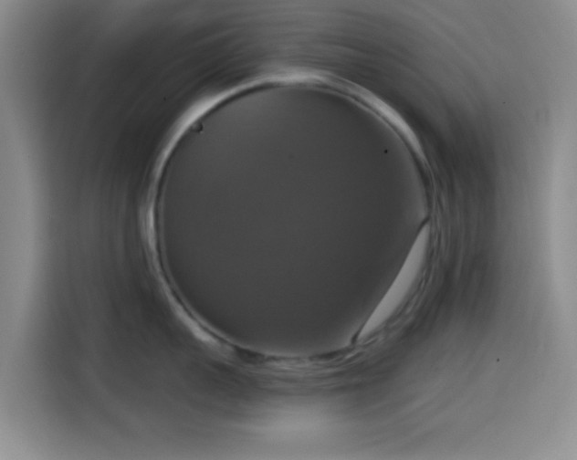 X0000114580959200910191520