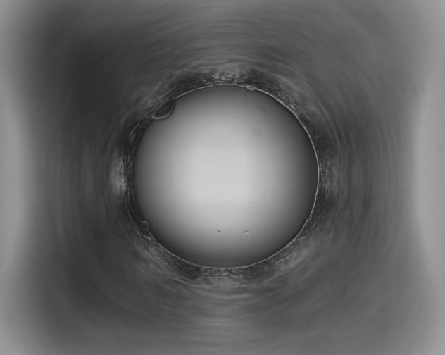 X0000114580962200910191520