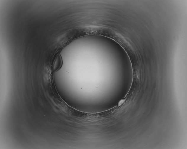 X0000114580964200910191520