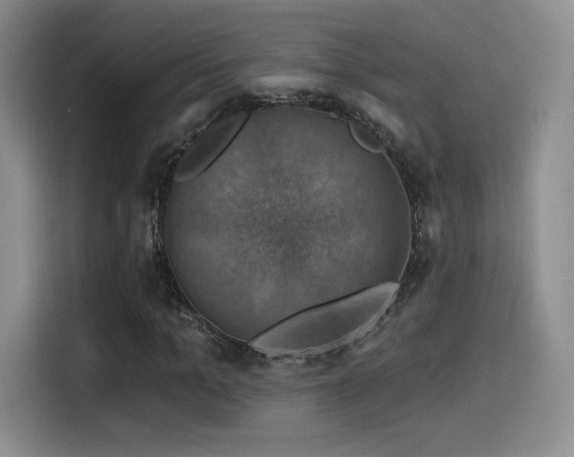 X0000114580965200910191520