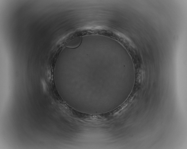 X0000114580966200910191520