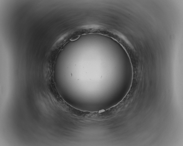 X0000114580967200910191520