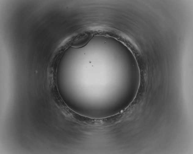 X0000114580968200910191520