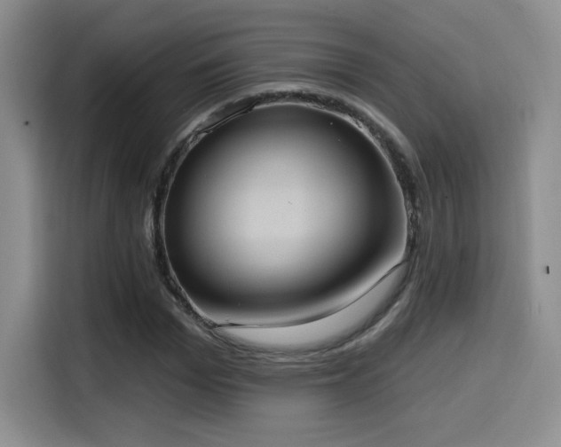 X0000114580969200910191520