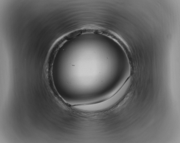 X0000114580971200910191520