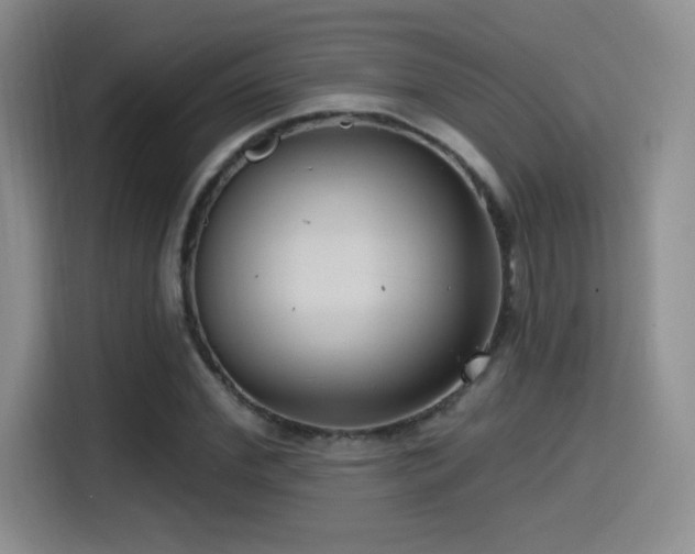 X0000114580972200910191520