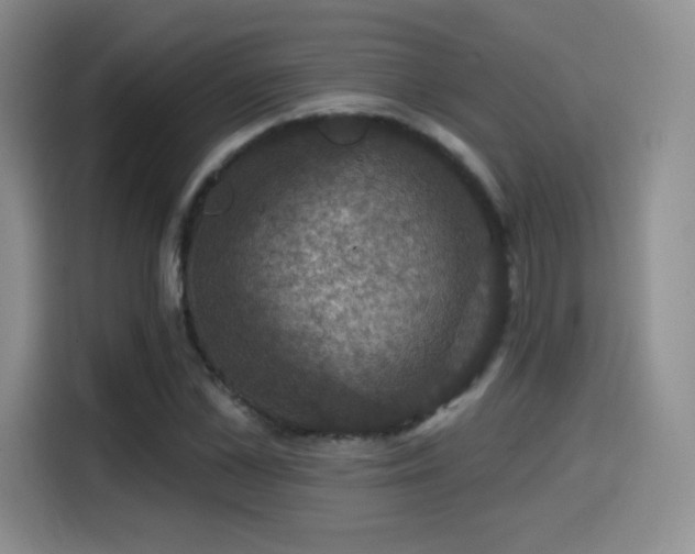 X0000114580973200910191520