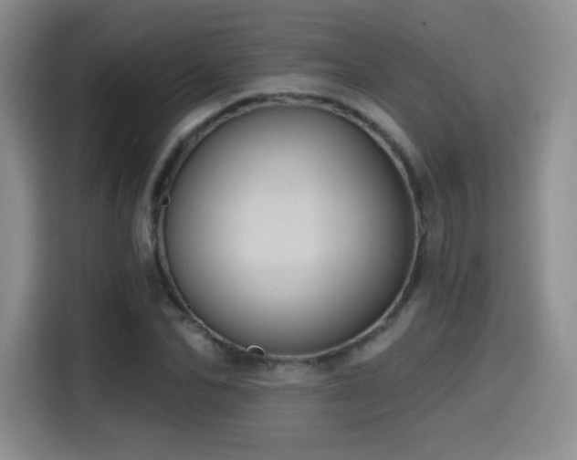 X0000114580974200910191520