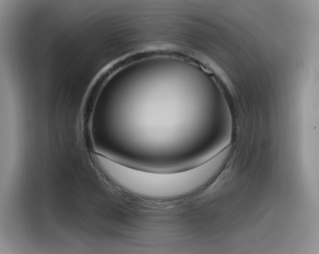 X0000114580975200910191520