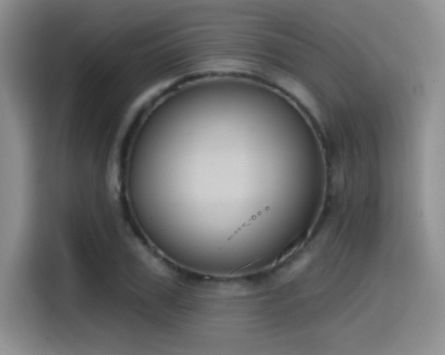 X0000114580979200910191520