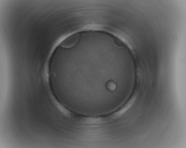 X0000114580981200910191520