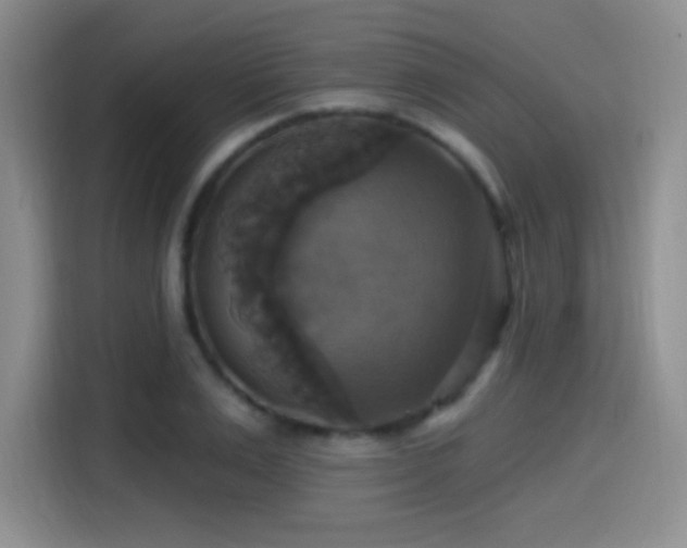 X0000114580983200910191520