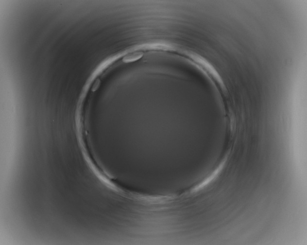 X0000114580989200910191520